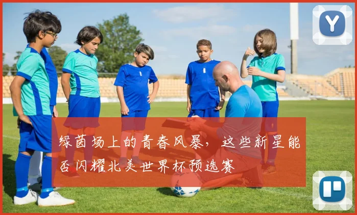 绿茵场上的青春风暴，这些新星能否闪耀北美世界杯预选赛