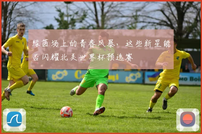 绿茵场上的青春风暴,这些新星能否闪耀北美世界杯预选赛